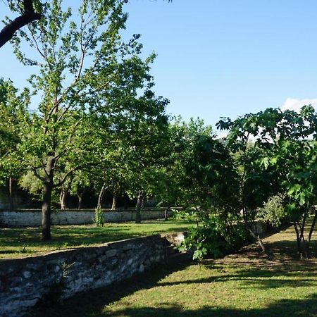 Kavet Palio Cottage PalaiónTsiflíkion 外观 照片