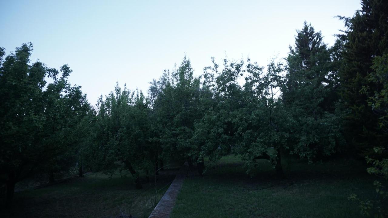 Kavet Palio Cottage PalaiónTsiflíkion 外观 照片