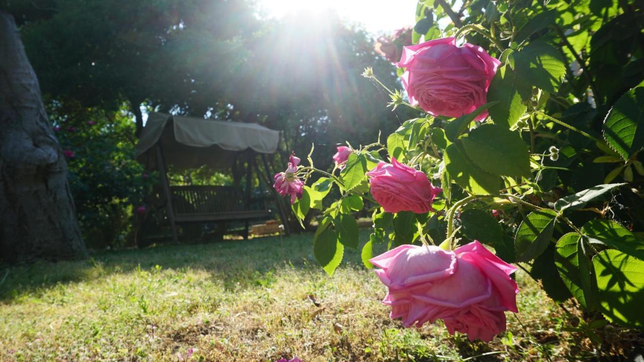 Kavet Palio Cottage PalaiónTsiflíkion 外观 照片